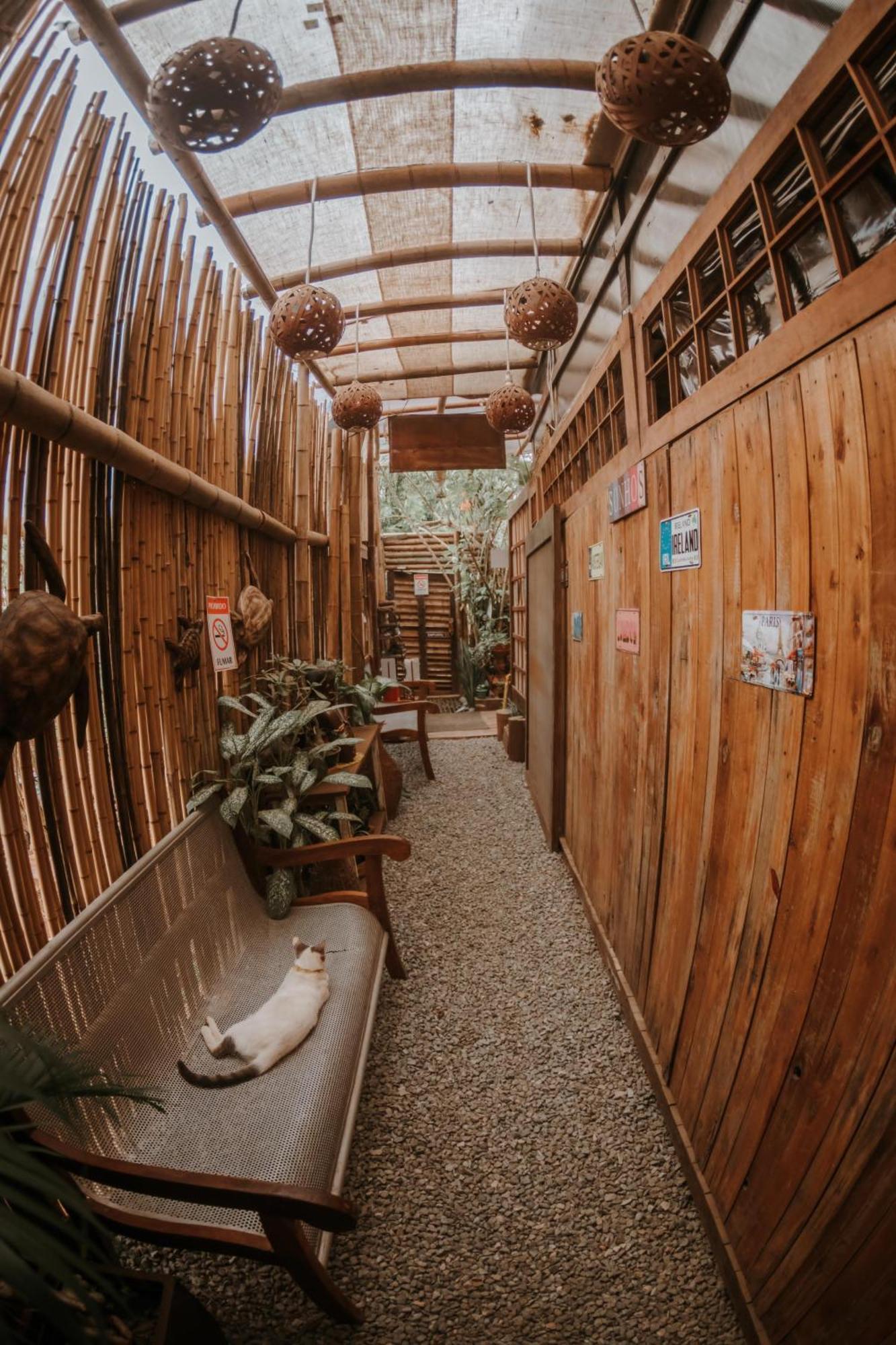 Doce Lar Hostel Noronha Fernando de Noronha Ngoại thất bức ảnh